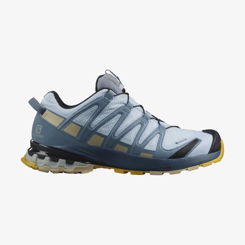 Zapatillas Trekking Salomon XA PRO 3D v8 GORE-TEX Mujer Azules (ES-CFXZ)
